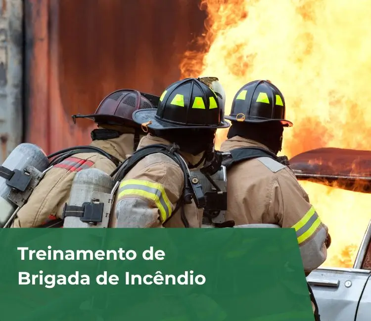 Treinamento de Brigada de Incêndio São Paulo
